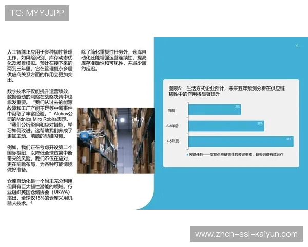 体育服务供应链跨区协同机制完善,区域壁垒逐步打破